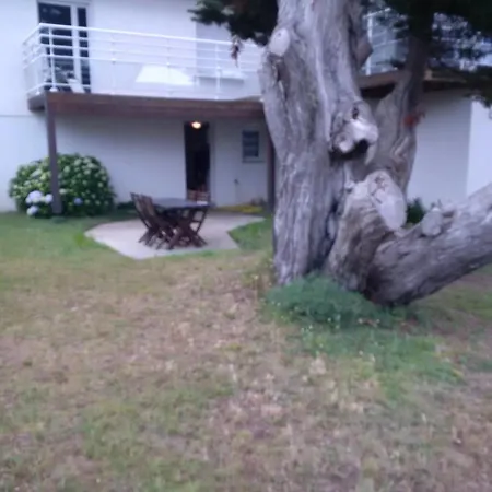 アパート 53 M2 En Rdc Maison, Jardin, A 50 M *